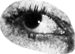 fritzi fuß